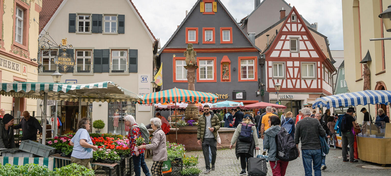 Menschen, Straßenszene in einer Fußgängerzone mit Bauernmarkt vor Fachwerkhäusern.