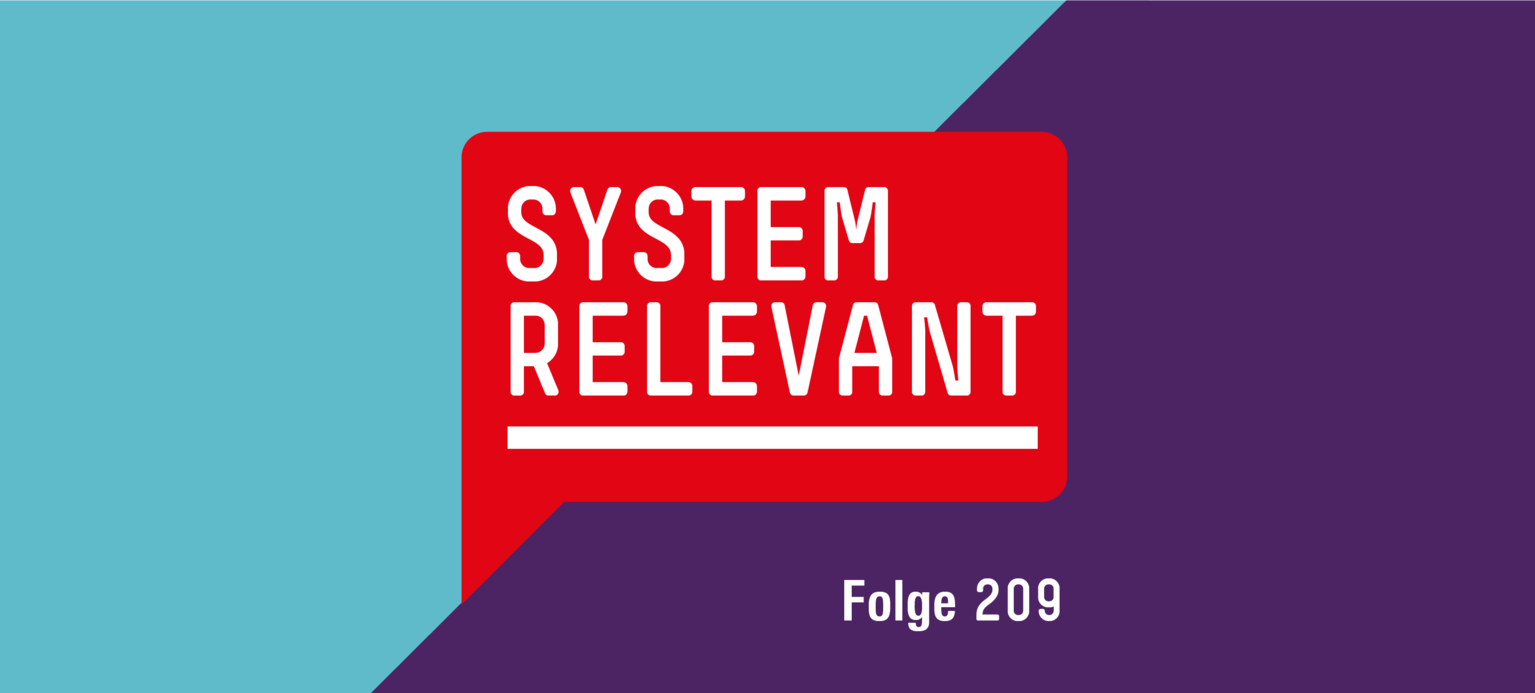 Systemrelevant Folge 209 Bettina Kohlrausch zum Arbeitsbegriff