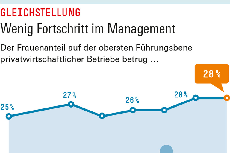 Infografik Böckler Schule zum Thema Gender