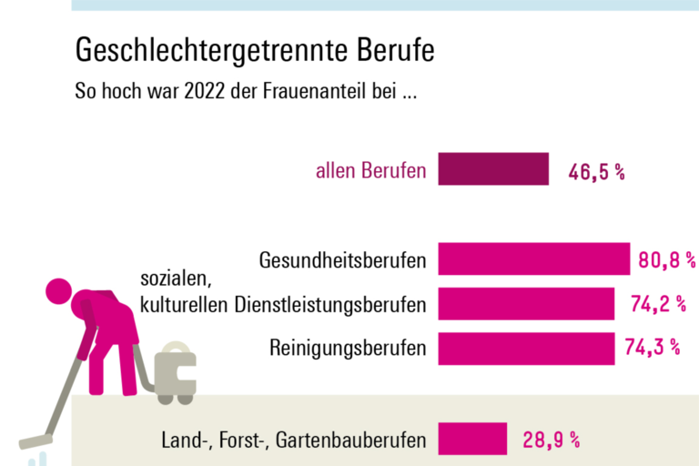 Infografik Böckler Schule zum Thema Gender