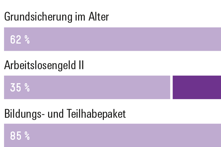 Infografik Böckler Schule zum Thema Sozialstaat