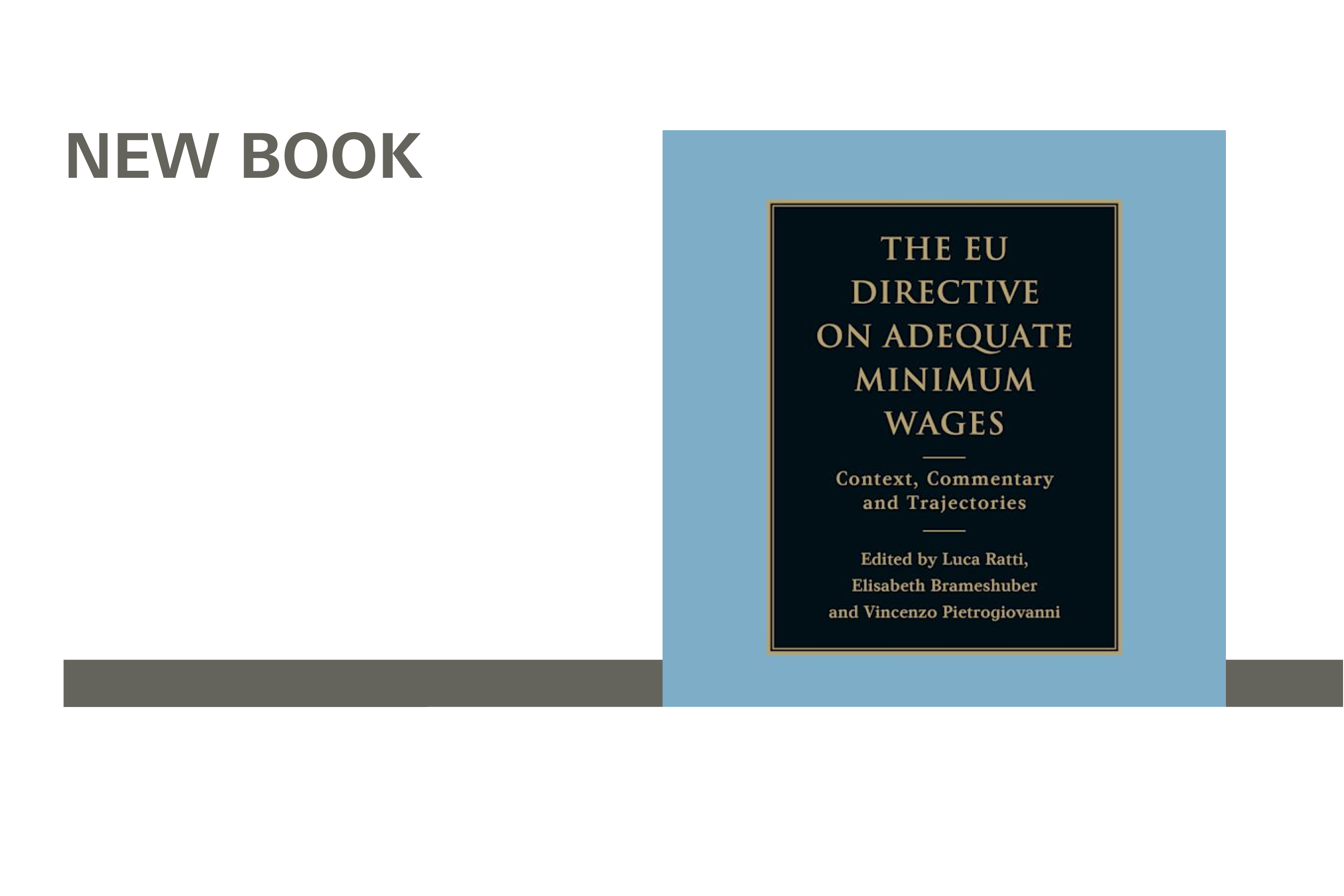 Cover des neuen Buches zur EU-Mindestlohn-Richtlinie